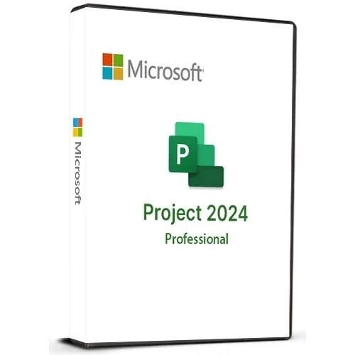 microsoft project professional 2024